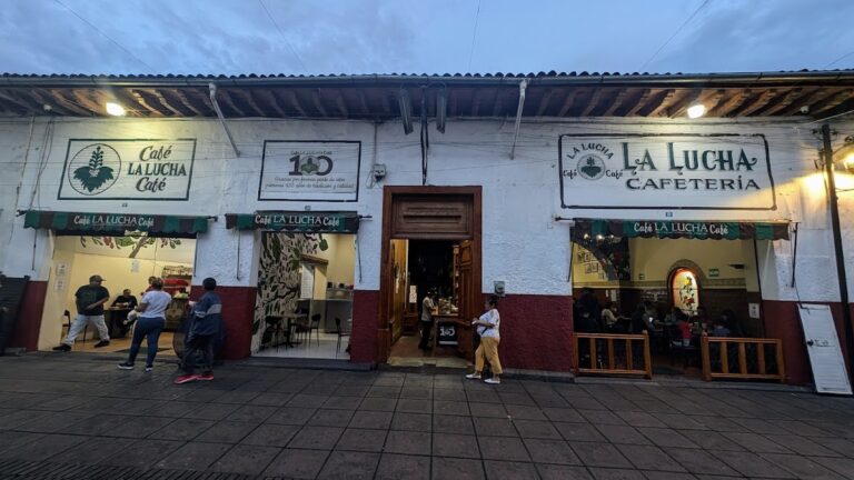 13341 cafe la lucha s.a. de c.v 768x432