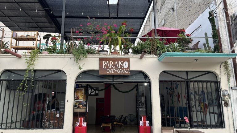 13455 cafe paraiso 768x432
