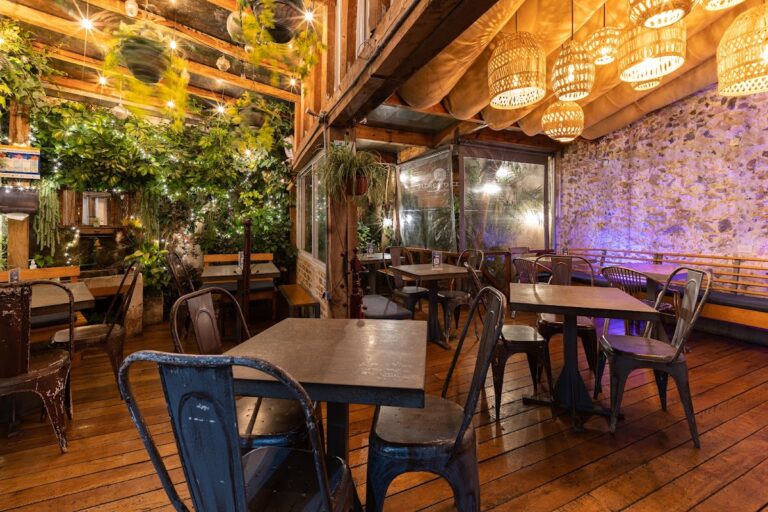 13536 flor catorce centro 768x512