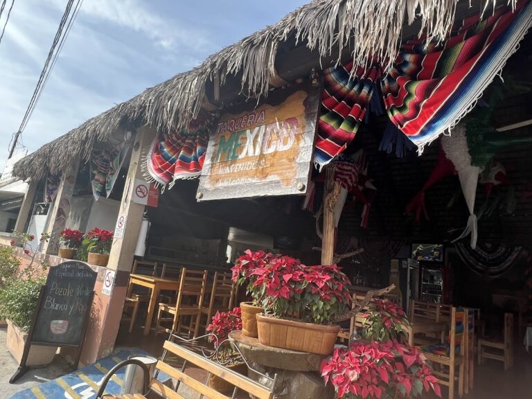 13610 taqueria mexico 768x576