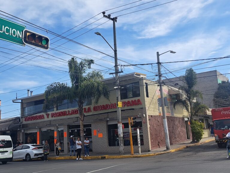 13826 taqueria y parrillada la guadalupana 768x576