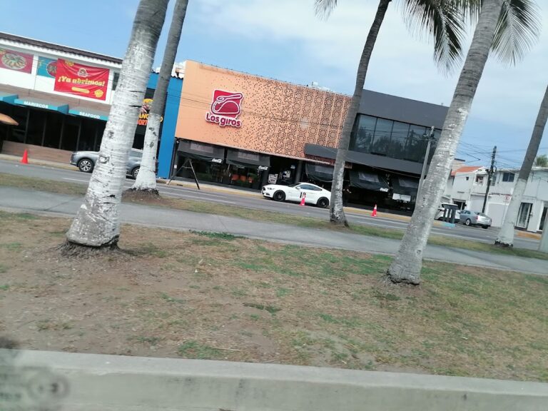 14110 los giros ruiz cortines 768x576