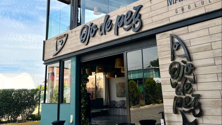 14450 ojo de pez 768x433