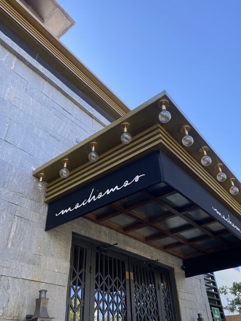 14684 mochomos chihuahua 768x1024