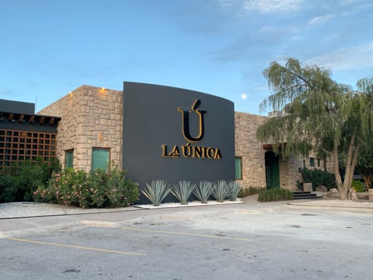 14694 la unica torreon 768x576