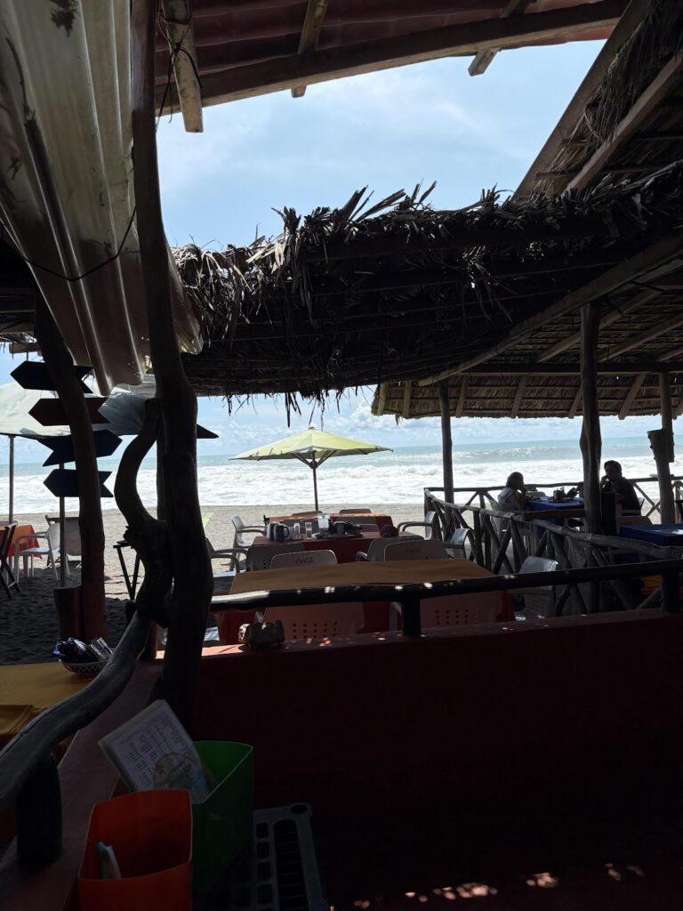 14718 las hamacas del mayor s.a. de c.v 768x1024