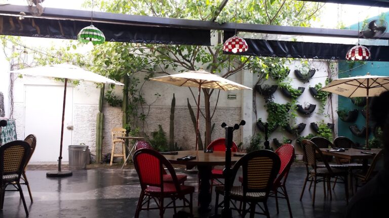 14790 i latina 768x432