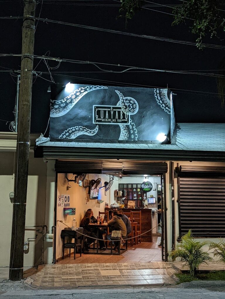 14864 el guayabo 768x1020