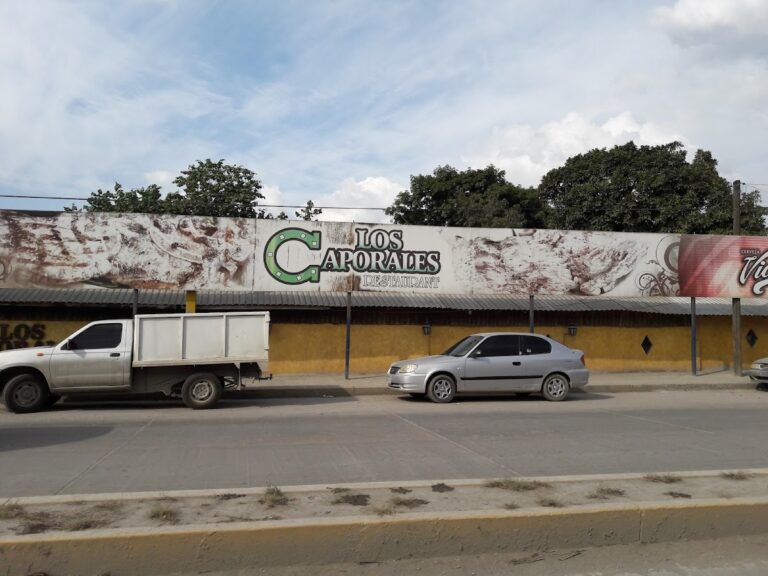 14934 restaurant los caporales 768x576