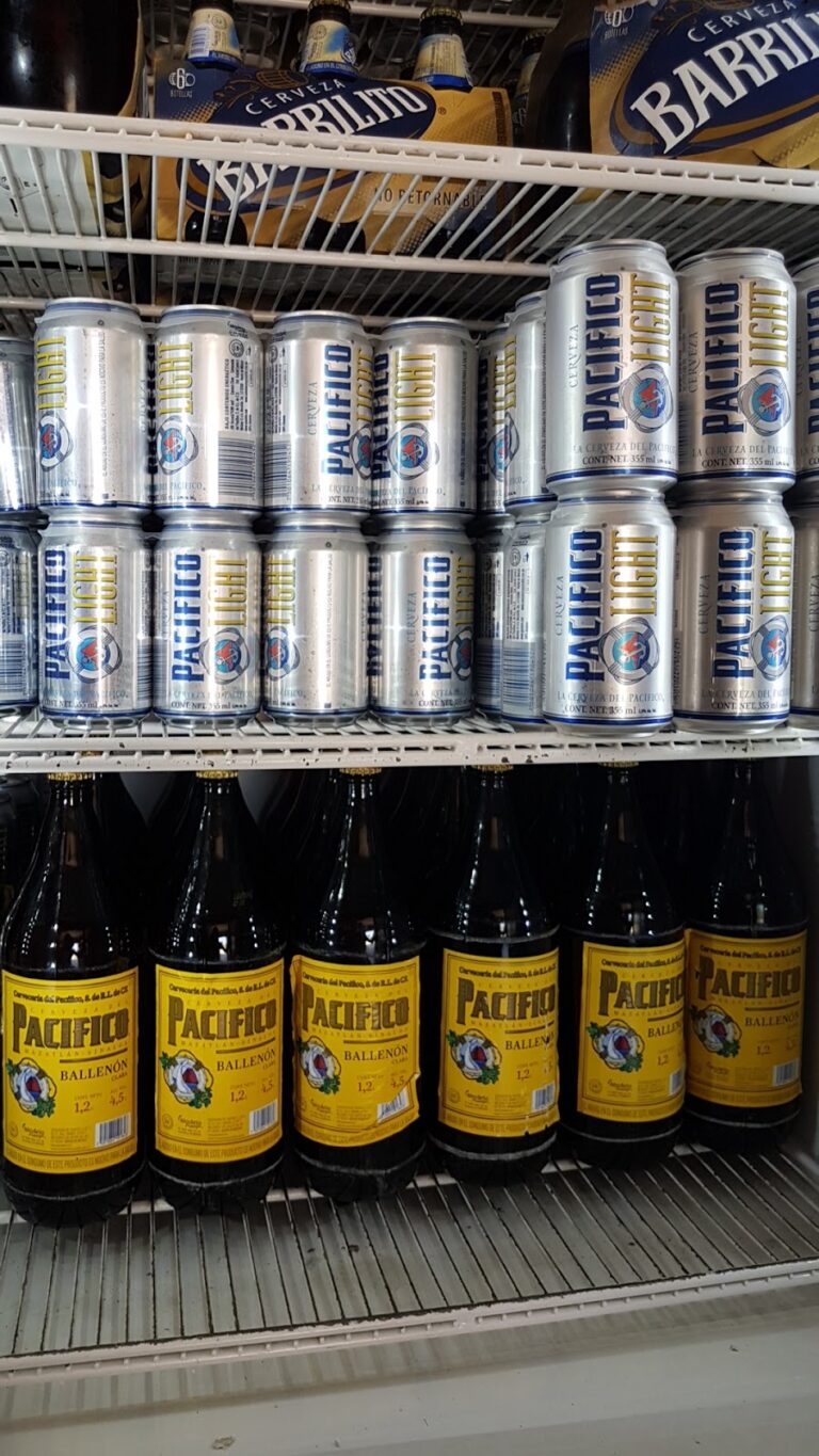 15629 mini super el cheque 768x1365