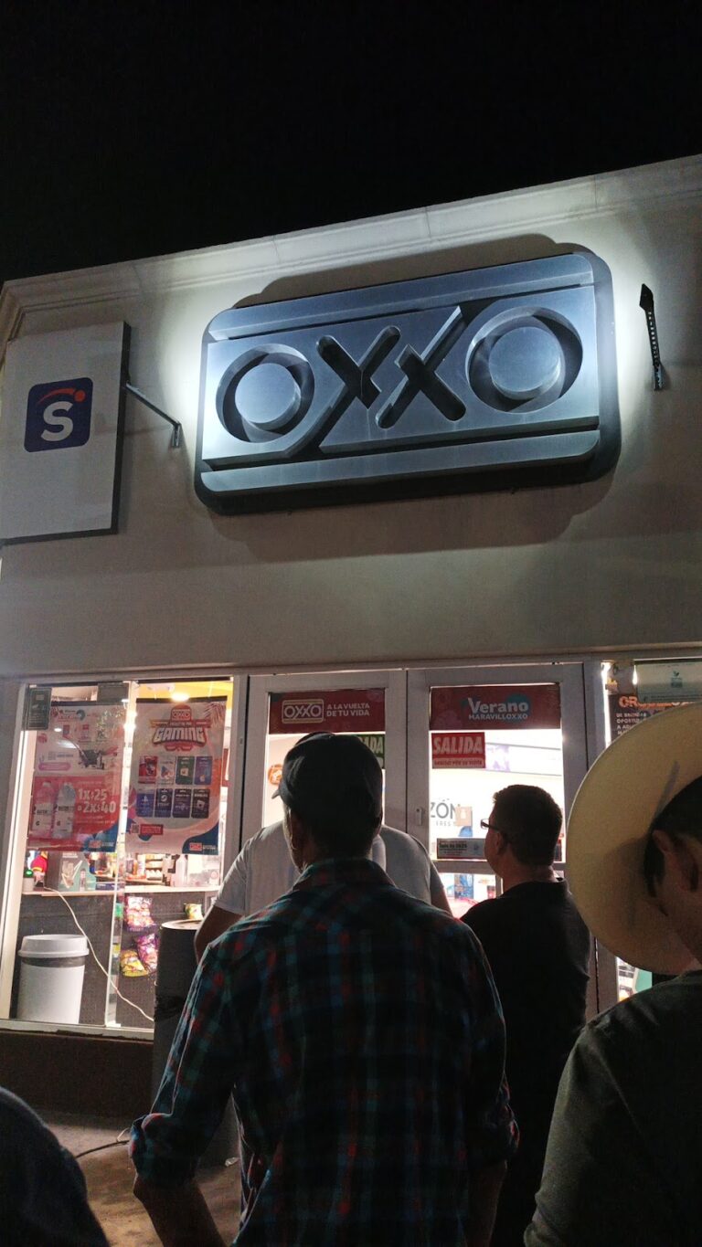 15640 oxxo casa chihuah a 768x1365