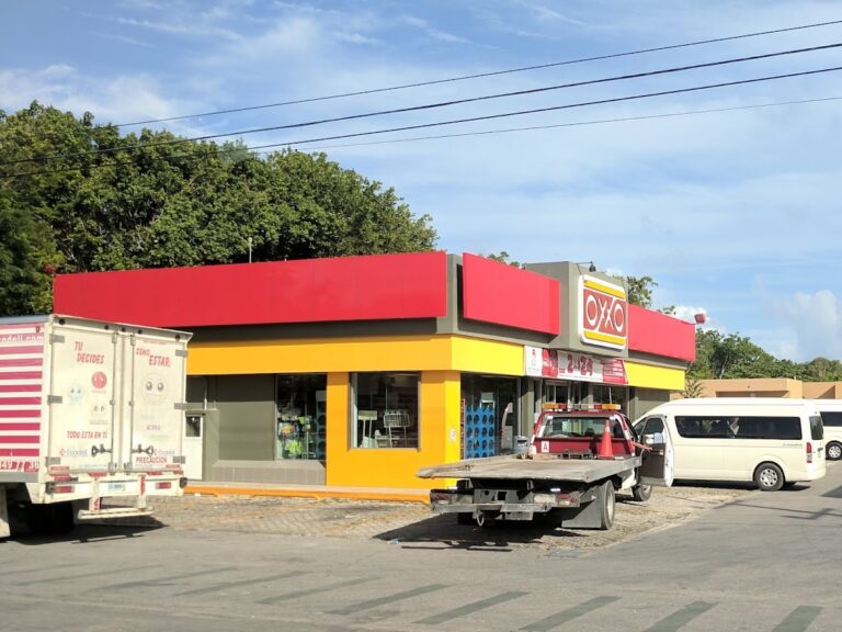 15912 gomart chiluca 768x576