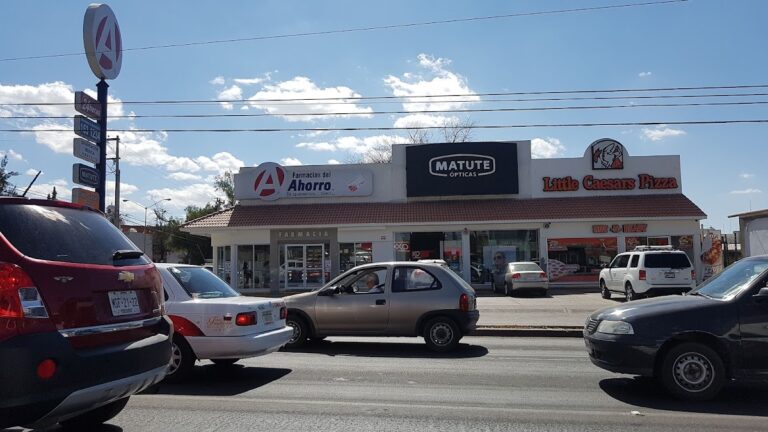 16042 farmacias del ahorro pulgas pandas 768x432