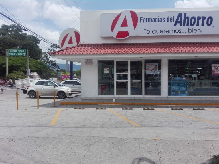 16097 farmacias del ahorro sumidero 768x576