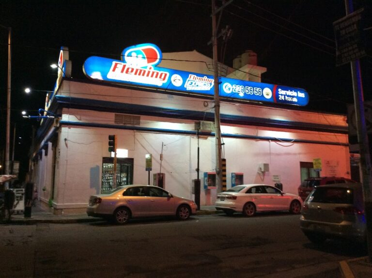 16365 farmacias fleming casa matriz 768x573