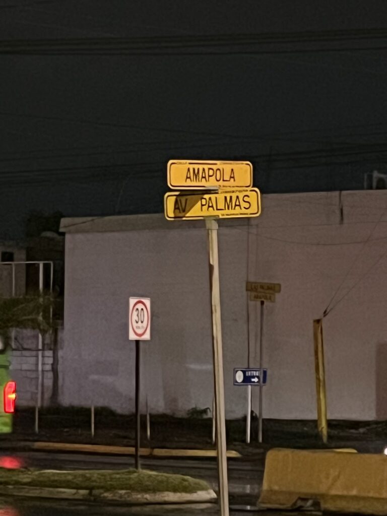 16431 farmacia guadalajara palmas 768x1024