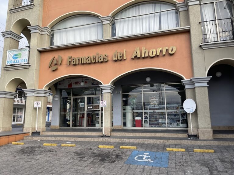 16533 farmacias del ahorro orizaba sur 25 768x576