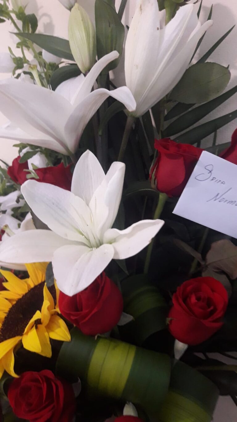 16903 centro medico quirurgico 8211 hospital san juan del rio 768x1365