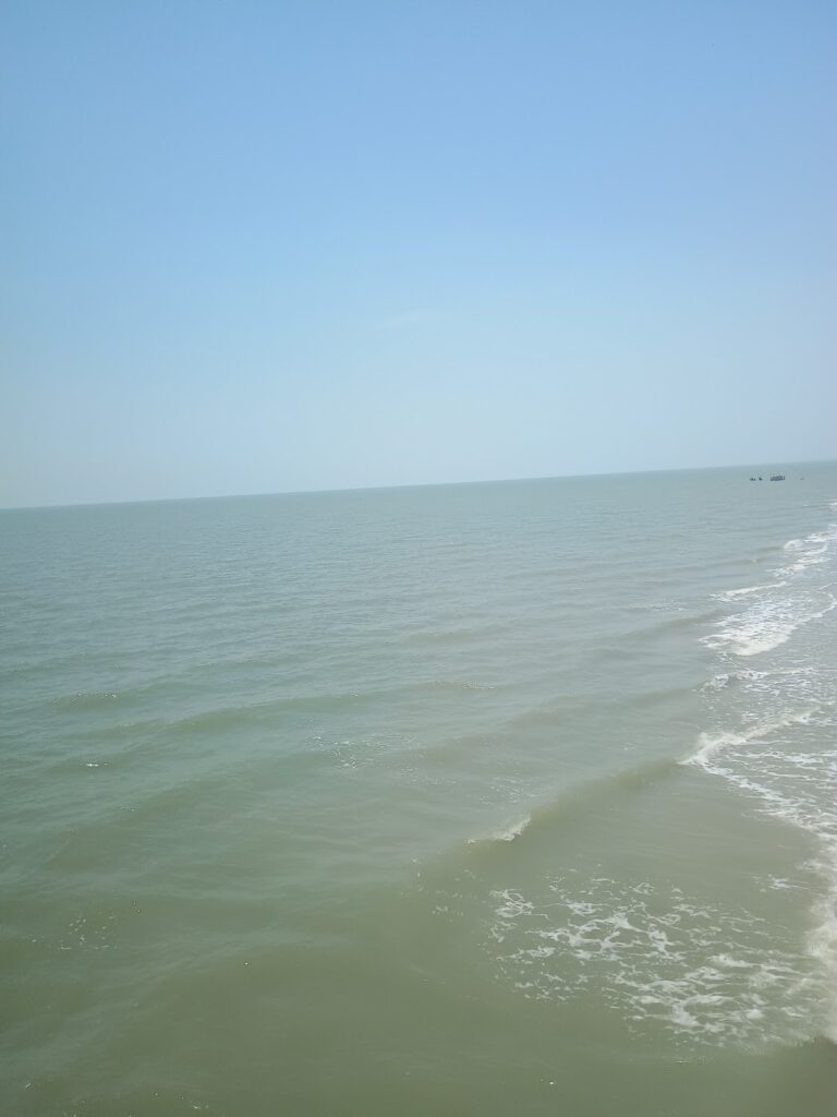 17121 medi denti 768x1024