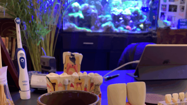 17232 dr. xavier diez dentistaendodoncista salamanca gto 768x433