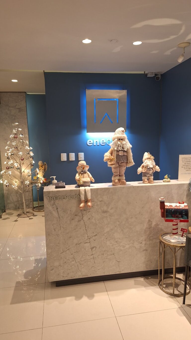 17242 enedent clinica dental 768x1365