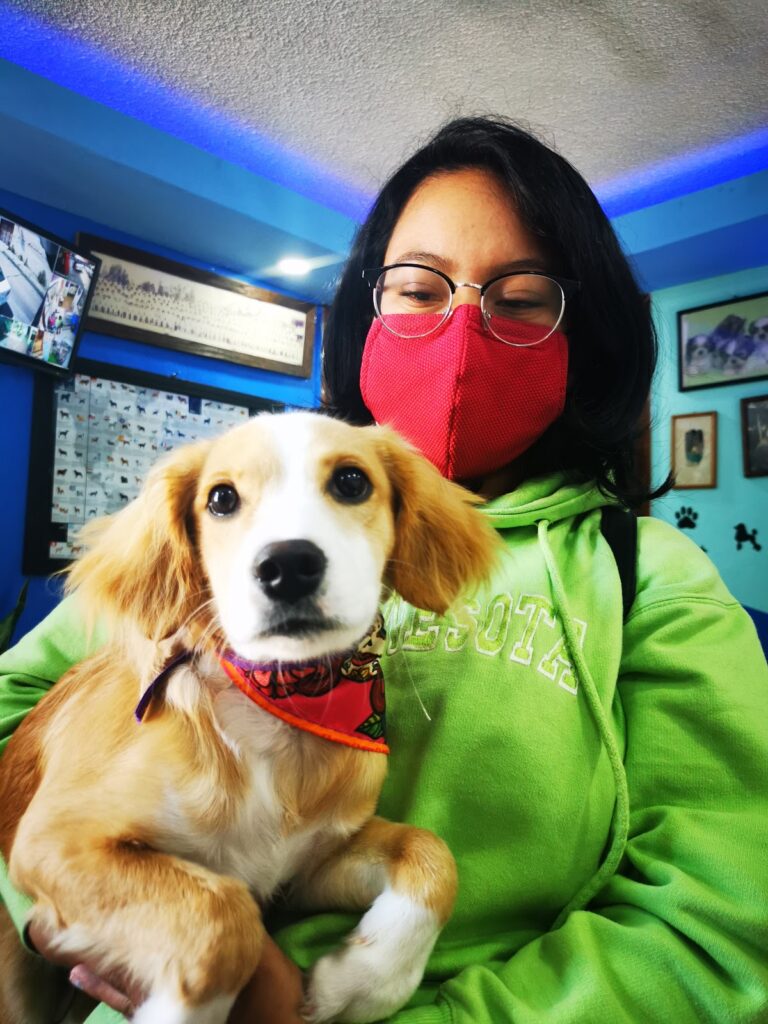 17661 clinica veterinaria del centro 768x1024