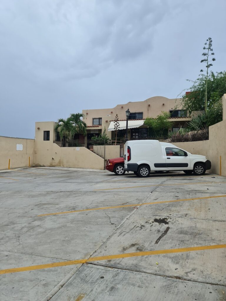 17671 veterinaria mm pets 768x1024