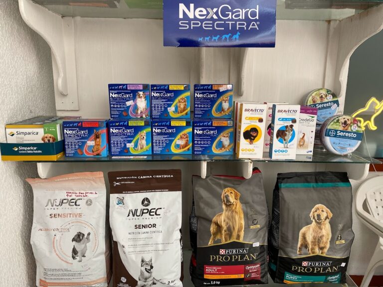 17673 jemvet 768x576