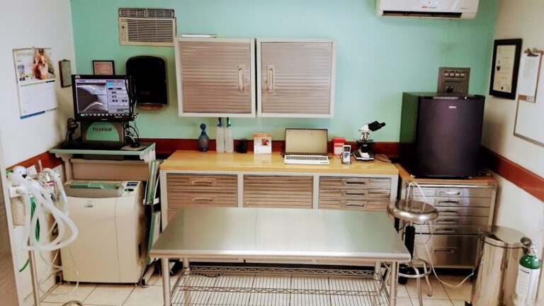 17691 petsmed veterinaria 768x432