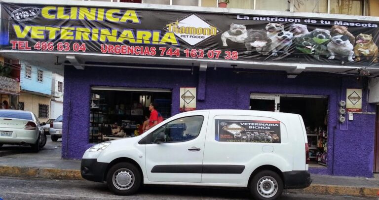 17766 clinica veterinaria bichos 768x406