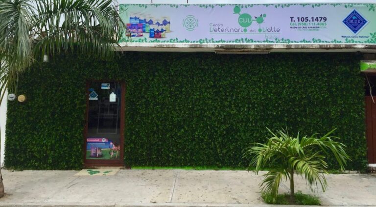 17900 centro veterinario del valle 768x424