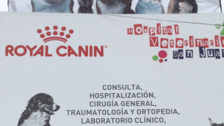 17944 hospital veterinario san juan 768x432