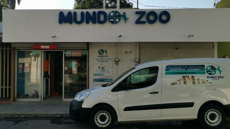 17974 veterinaria mundo zoo 768x432