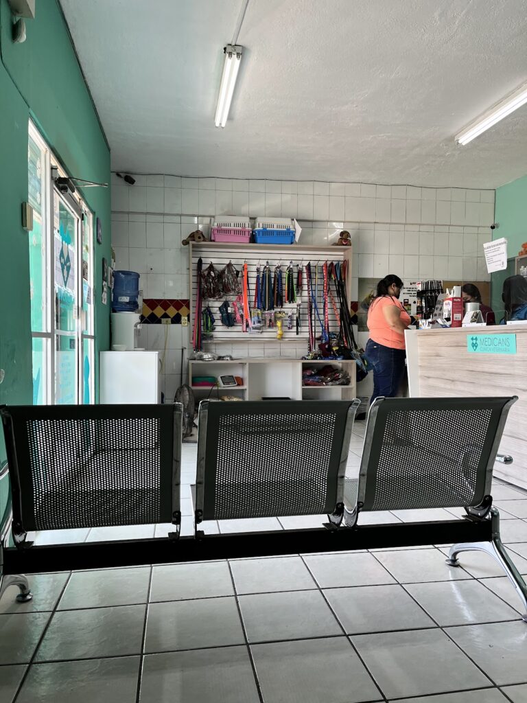 18002 clinica veterinaria medicans 768x1024