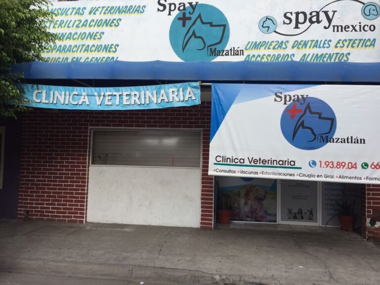 18013 clinica veterinaria spay mazatlan 768x576