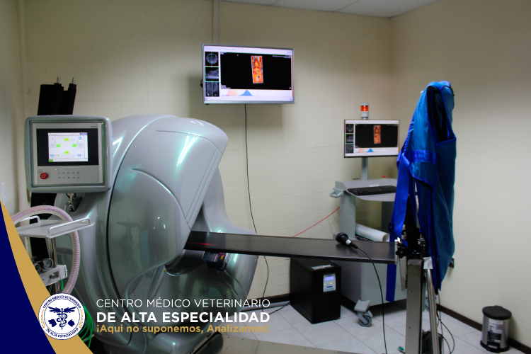 18034 centro medico veterinario de alta especialidad