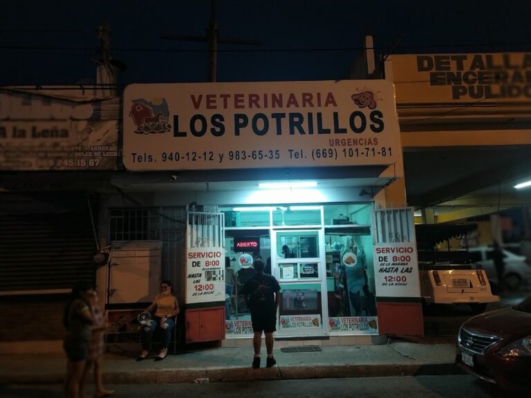 18036 veterinaria los potrillos 768x576