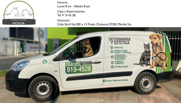 18080 clinica veterinaria merida 768x439