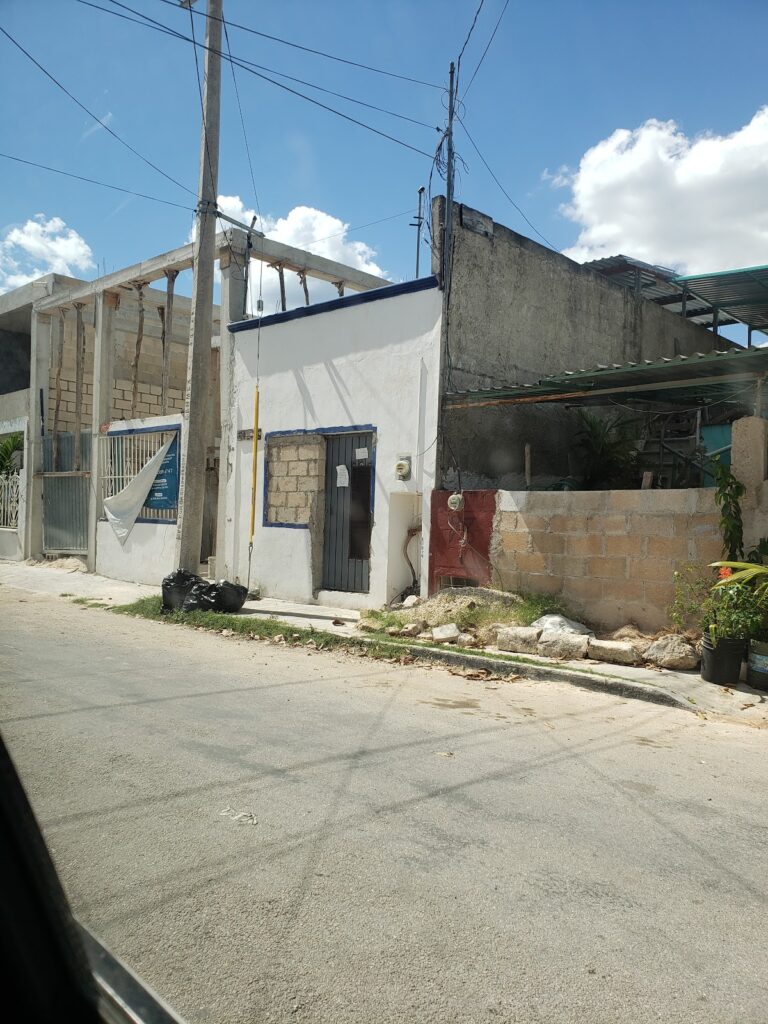 18097 veterinaria vets 4 pets valladolid 768x1024