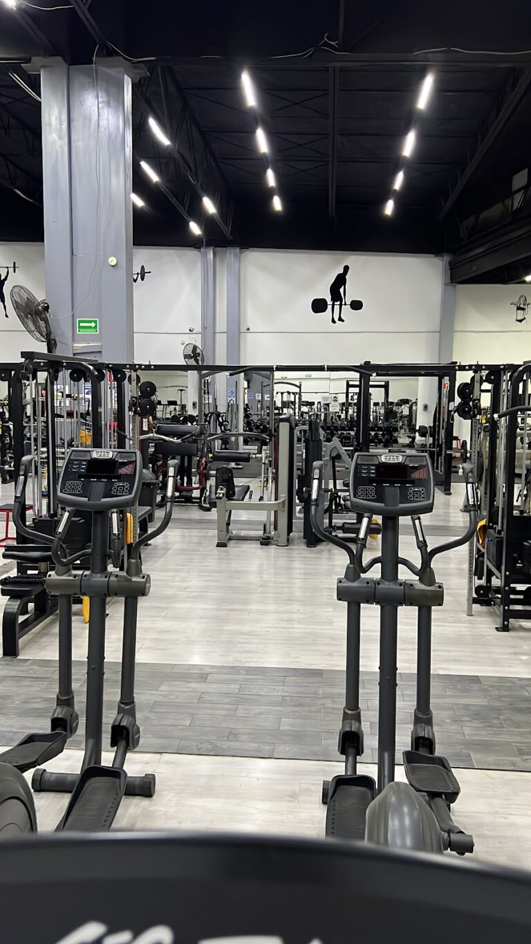 18129 progym 247 768x1365