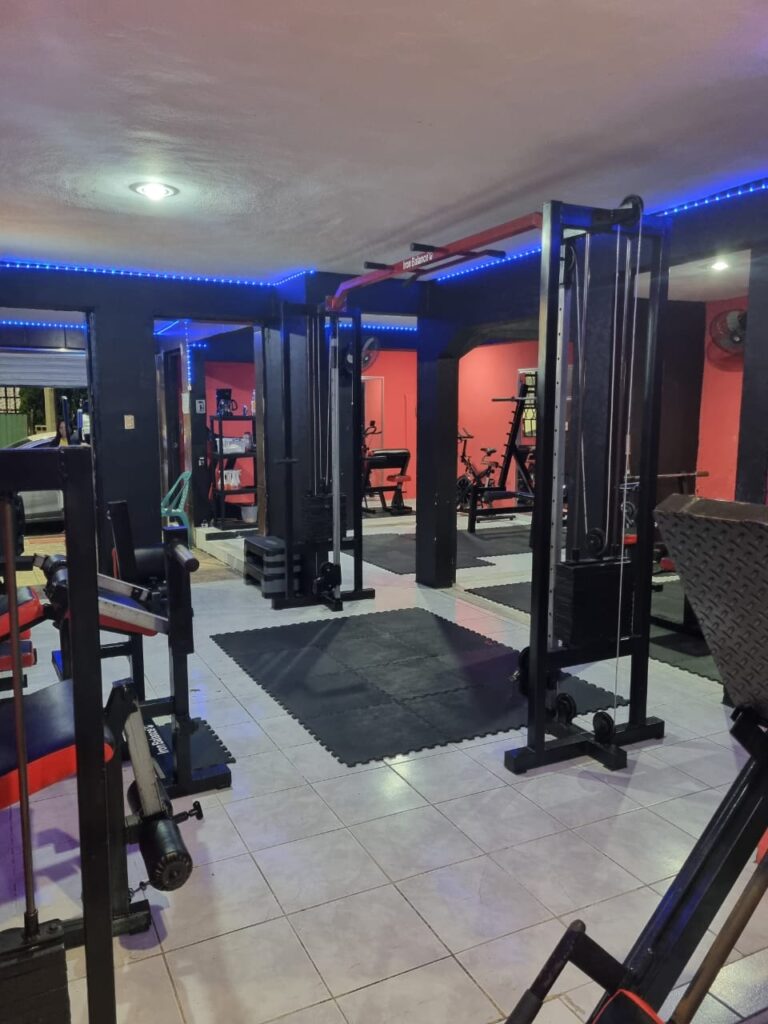 18151 scorpion gym campeche 768x1024