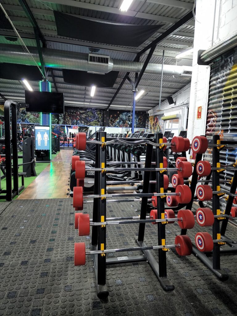 18163 hero gym chihuahua 24 horas 768x1024