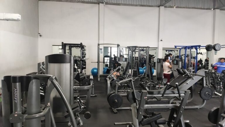 18165 gym forte 768x432