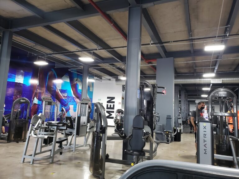 18177 world gym chihuahua 768x576