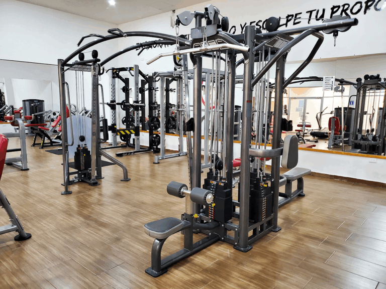 18217 champs gym 768x576