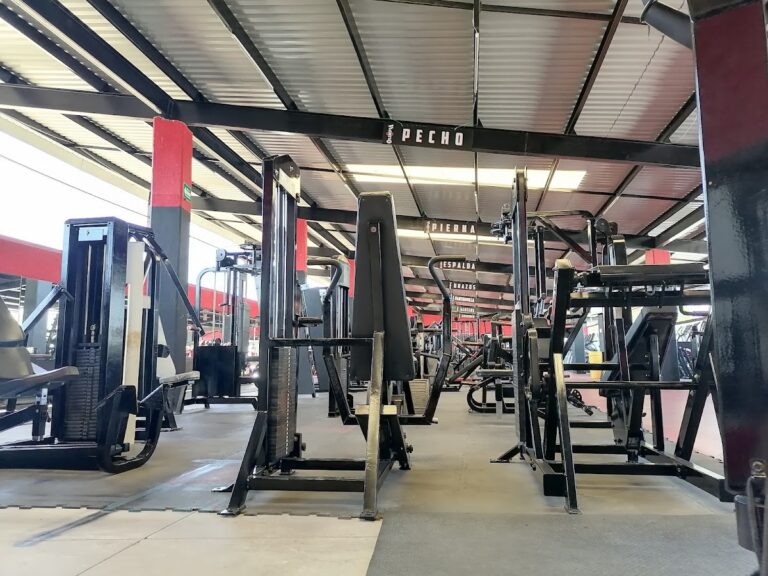 18225 gimnasio olimpia manzanillo 768x576