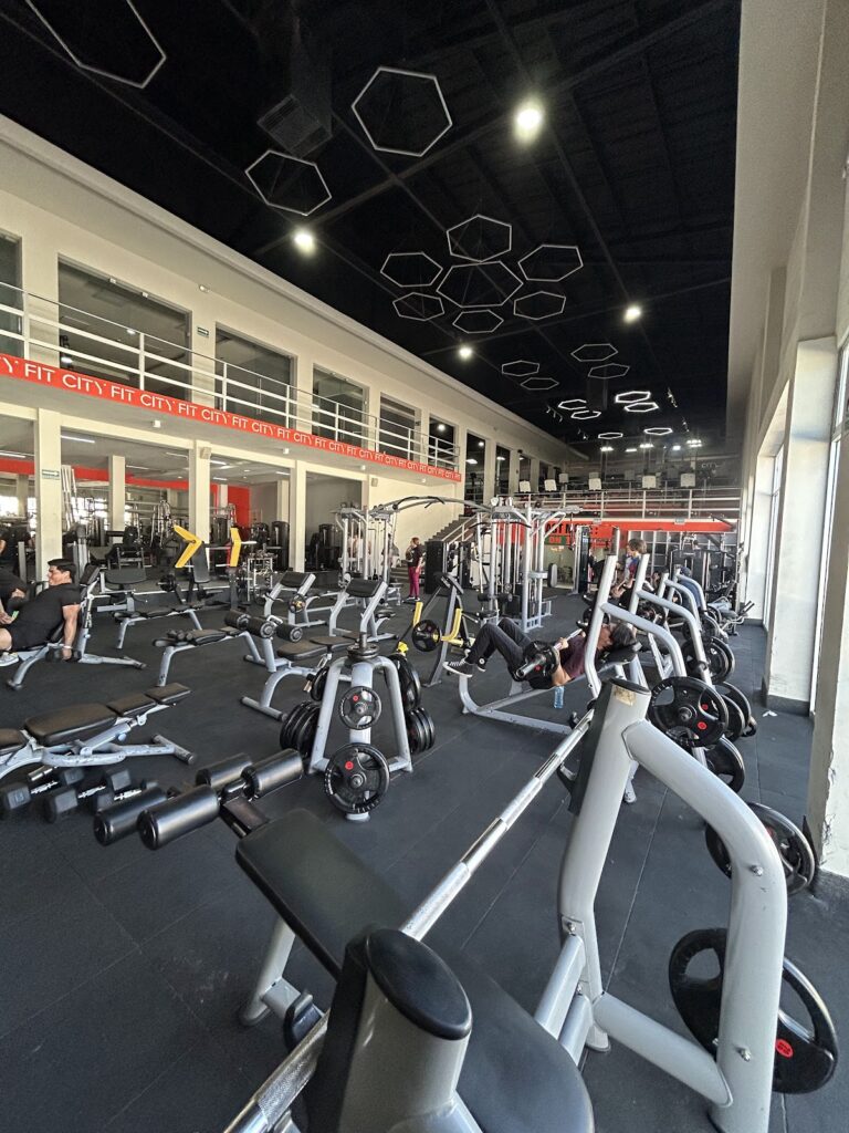 18231 city fit durango 768x1024