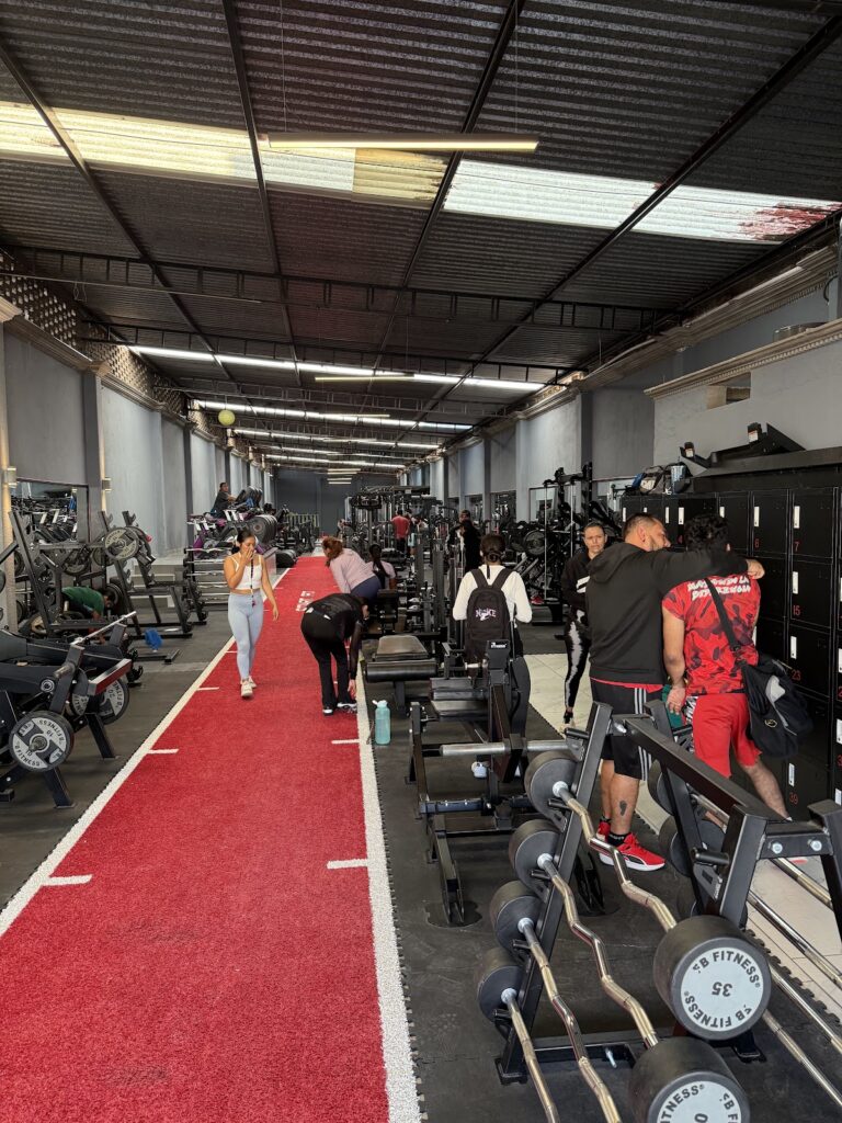 18275 start fit salamanca 768x1024