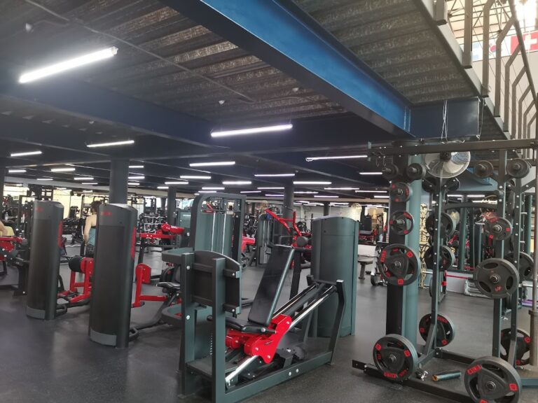 18289 golds gym pachuca 768x576
