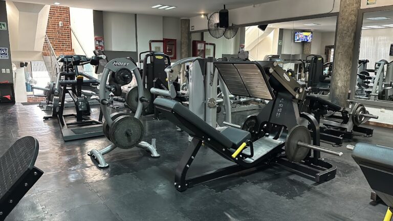 18293 gym xtreme fitness sport 768x432